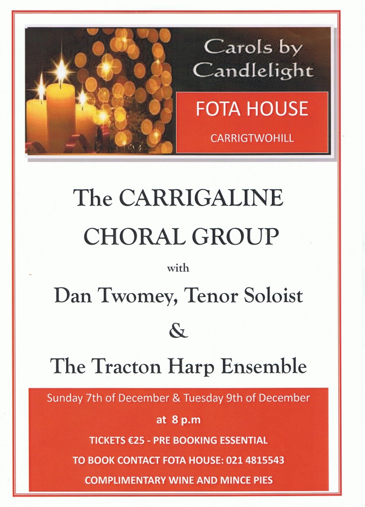 Fota House Concert Poster